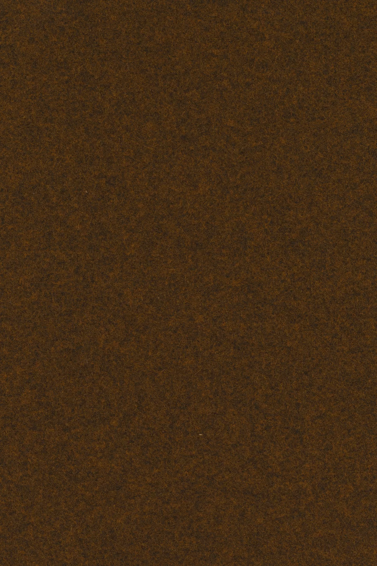 Divina melange 3, 571